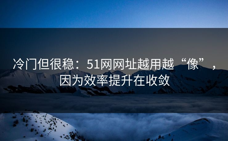 冷门但很稳：51网网址越用越“像”，因为效率提升在收敛
